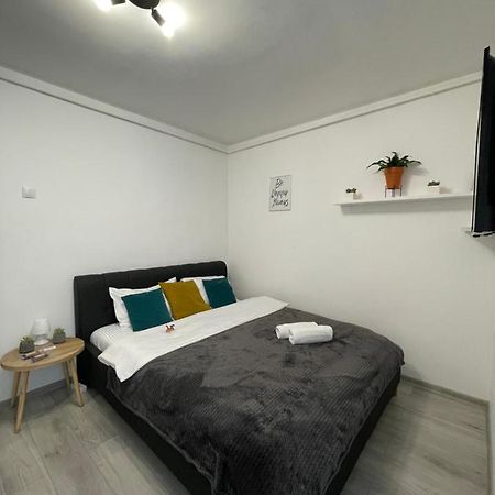 Cozy Studio Apartament Zalau Luaran gambar