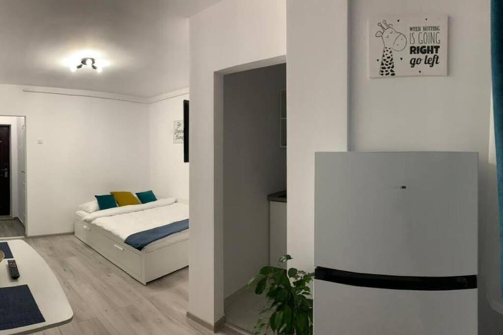 Cozy Studio Apartament Zalau Luaran gambar